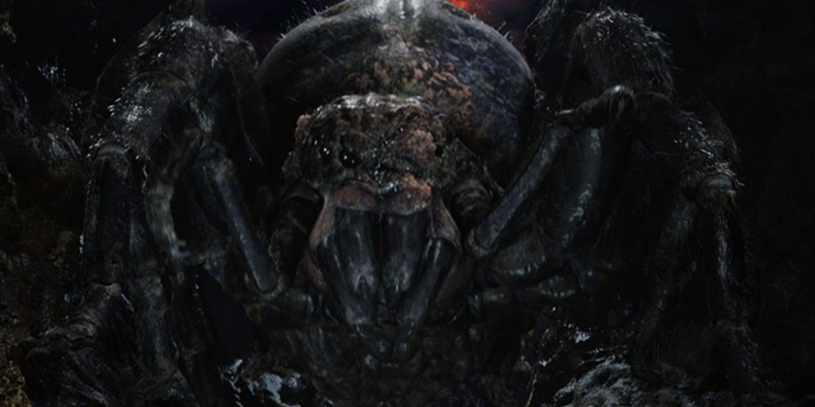 Giant spider Shelob in Lord of the Rings.