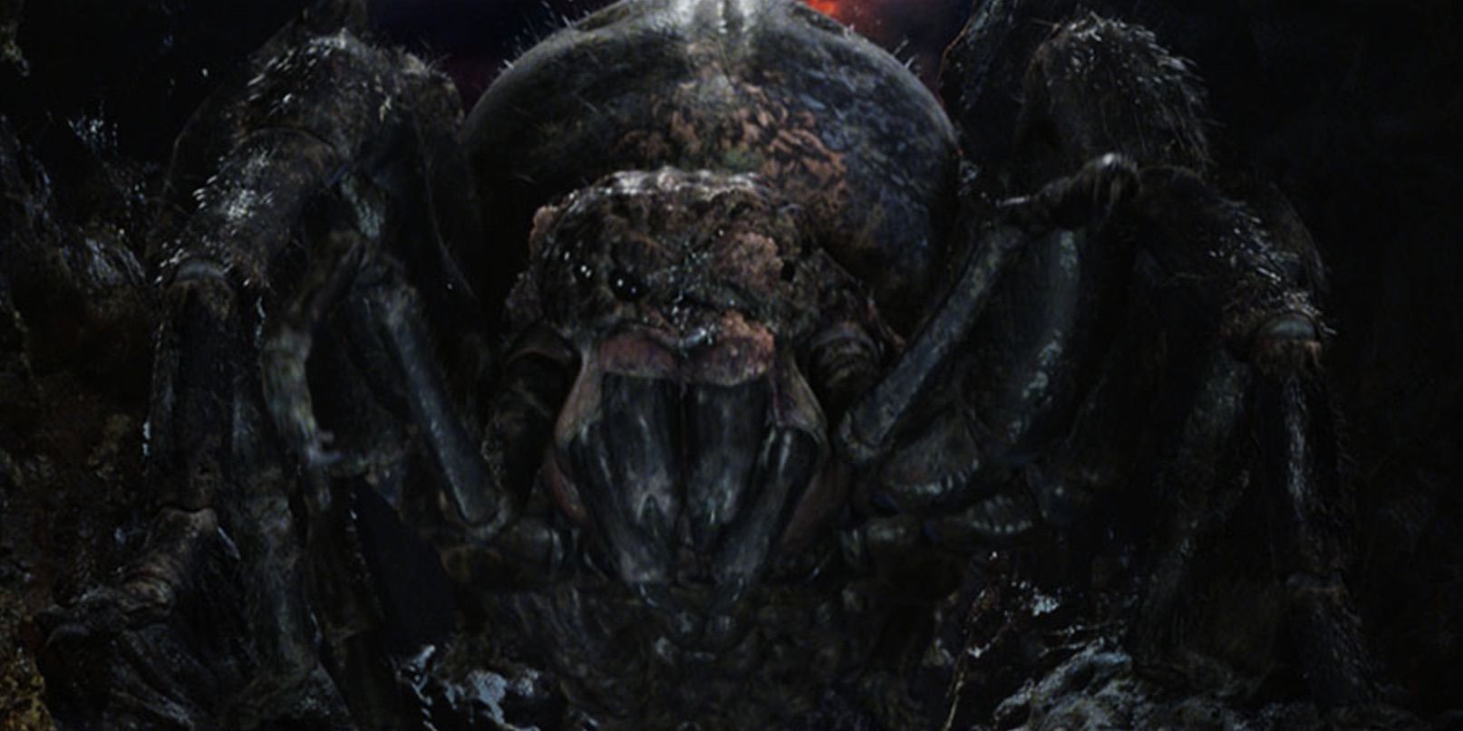 Giant spider Shelob standing guard over something in Lord of the Rings.