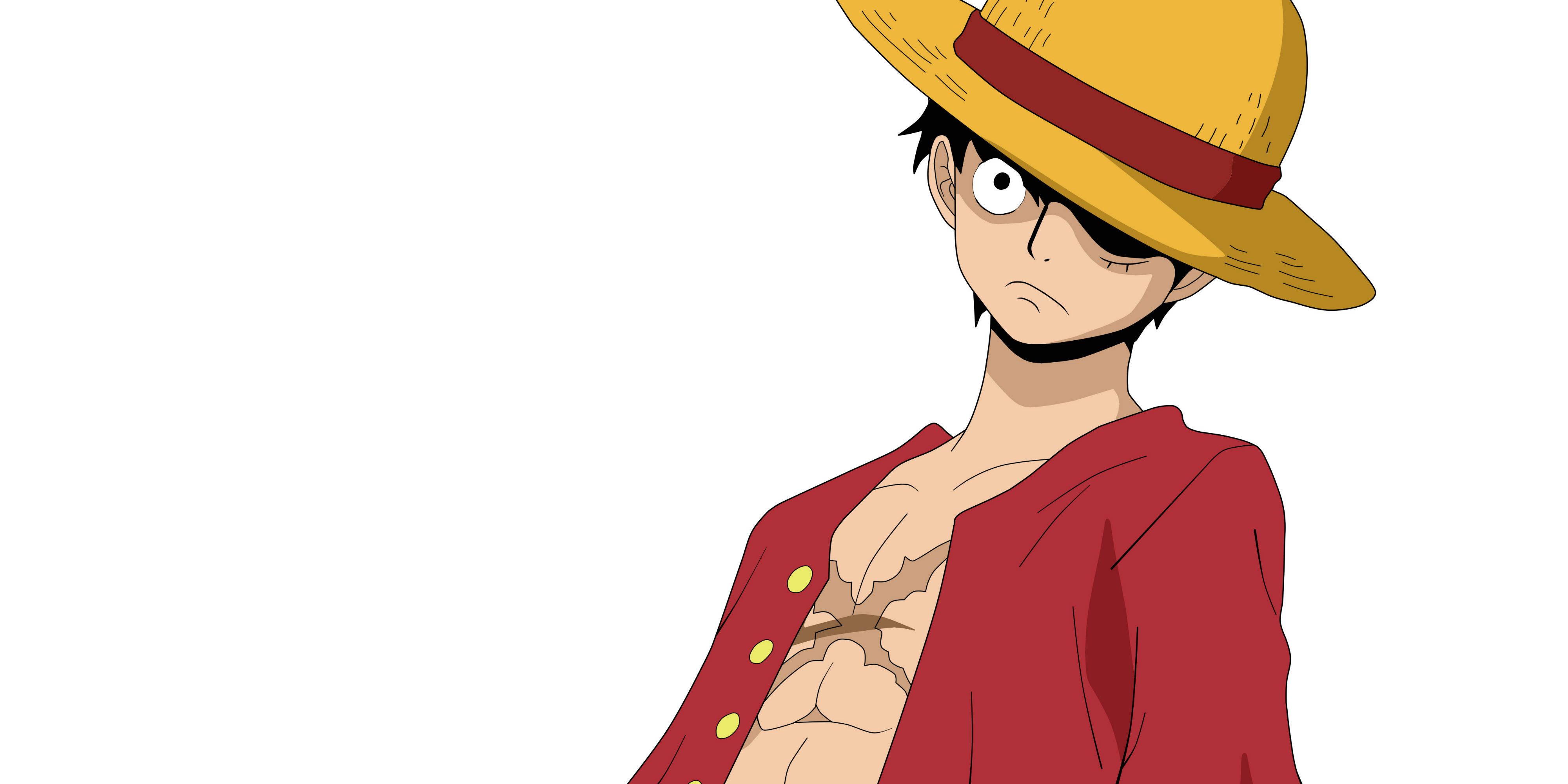 Monkey D Luffy from One Piece