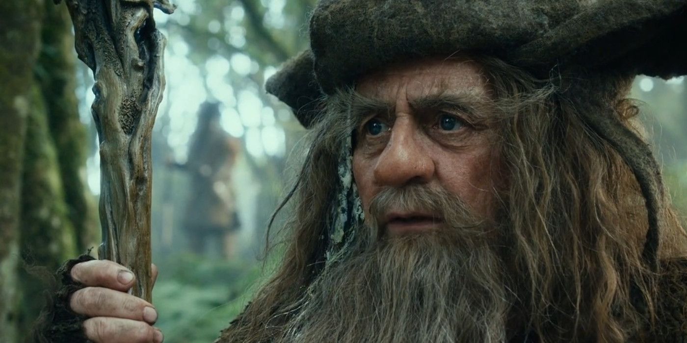 A closeup of Radagast In The Hobbit