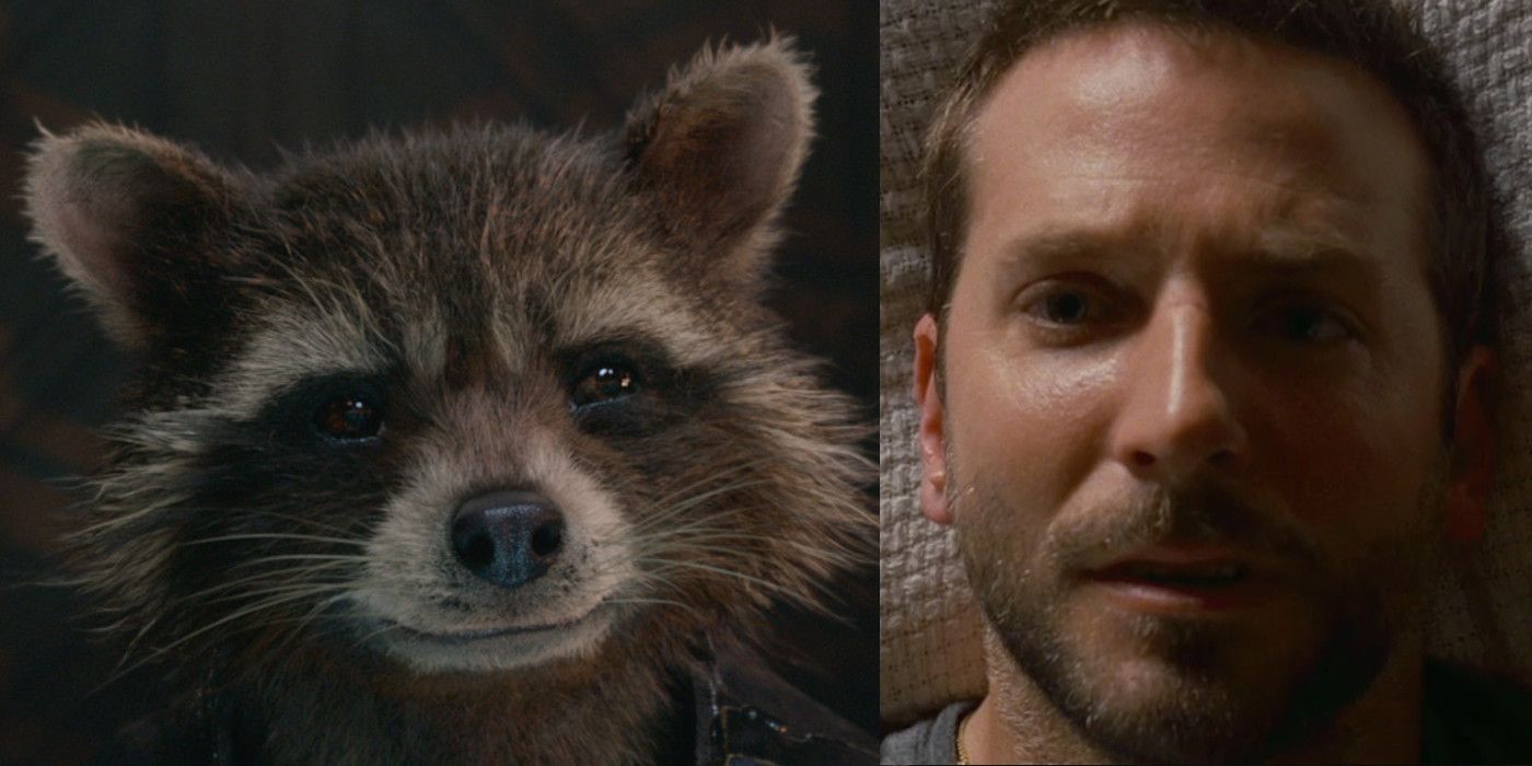 Rocket Raccoon and Bradley Cooper side by side