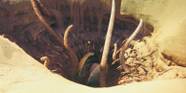 10 Totally Unique Alien Designs In Sci Fi Movies 10 Totally Unique Alien Designs In Sci Fi Movies