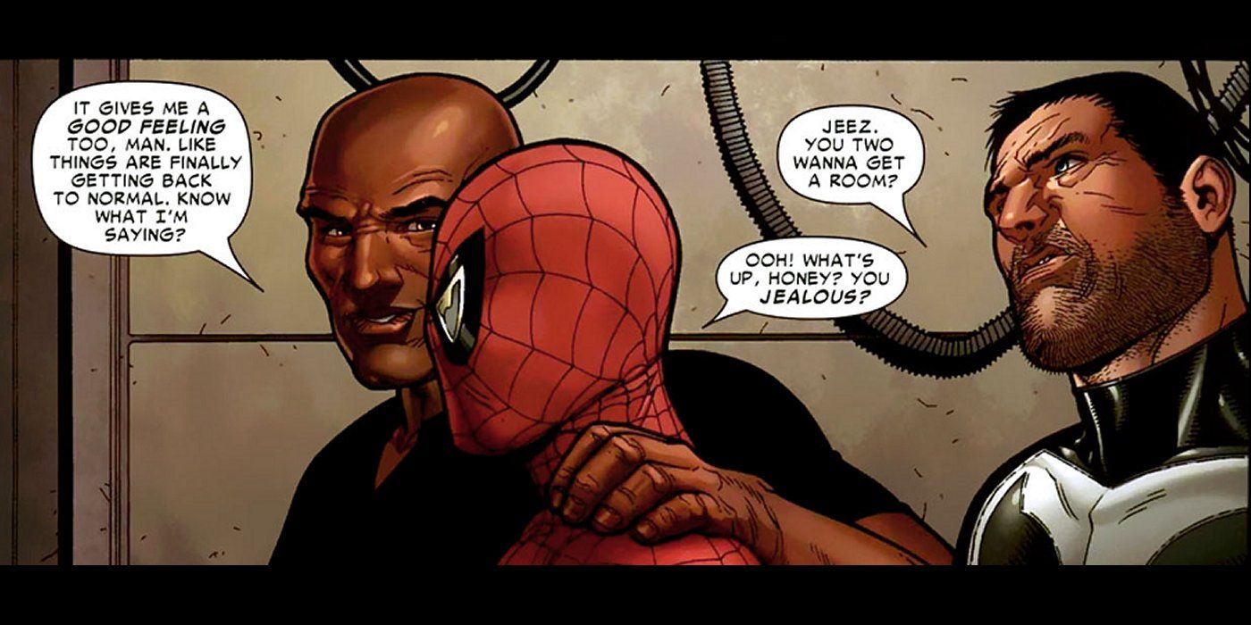 Spider-Man Peter Parker &amp; Luke Cage The Punisher &amp; Frank Castle Marvel Civil War