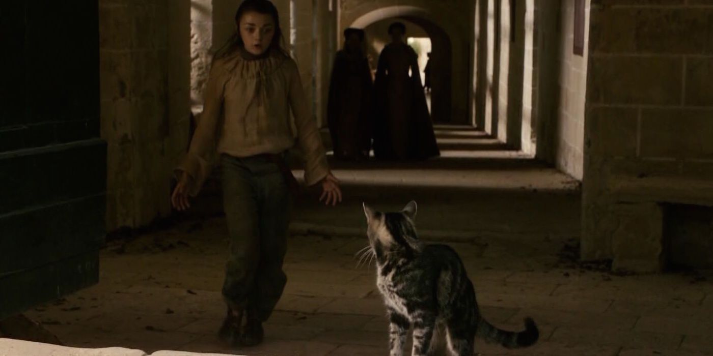 Arya Stark chasing cats on Game of Thrones