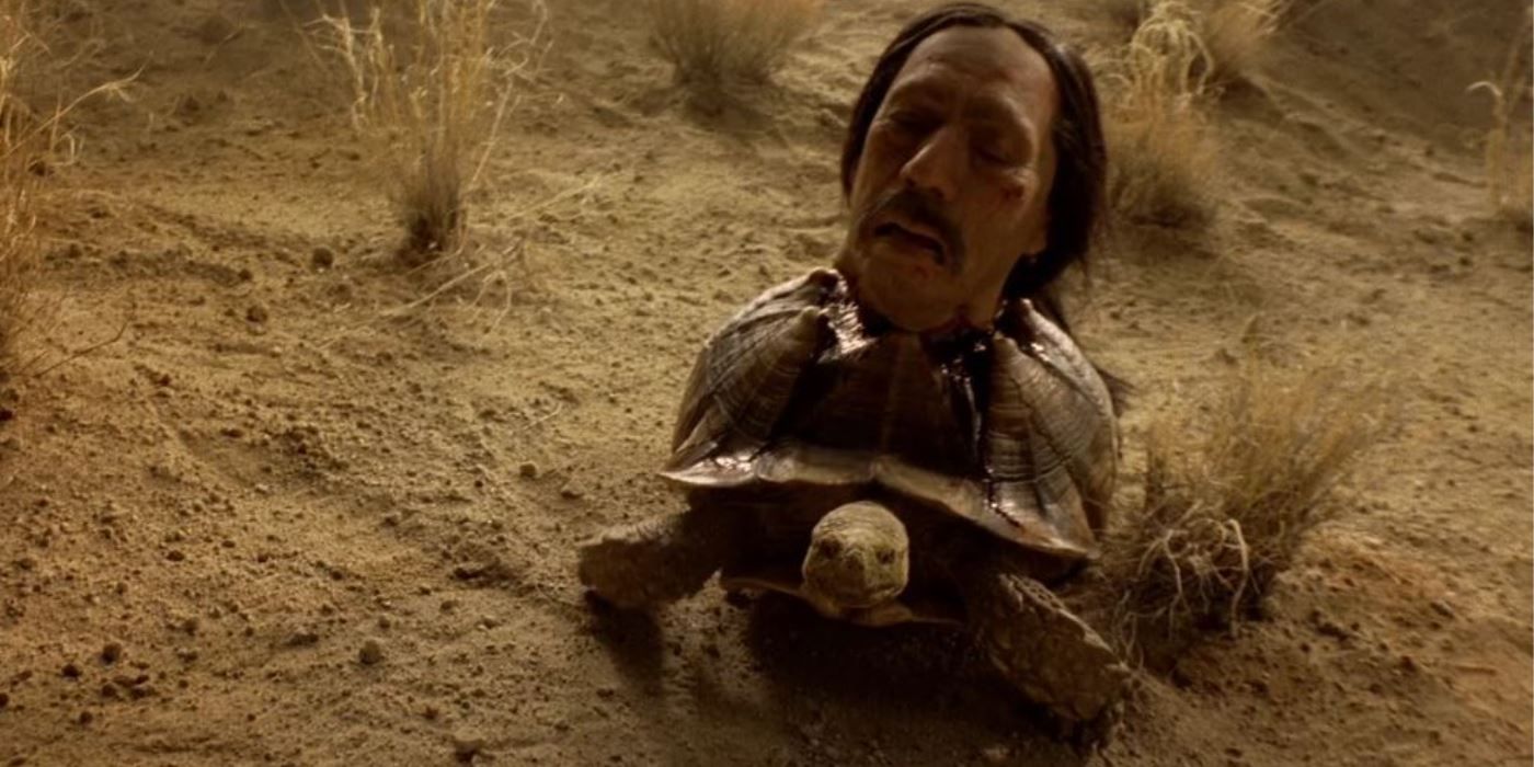 Tortuga's head is found on a turtle in Breaking Bad