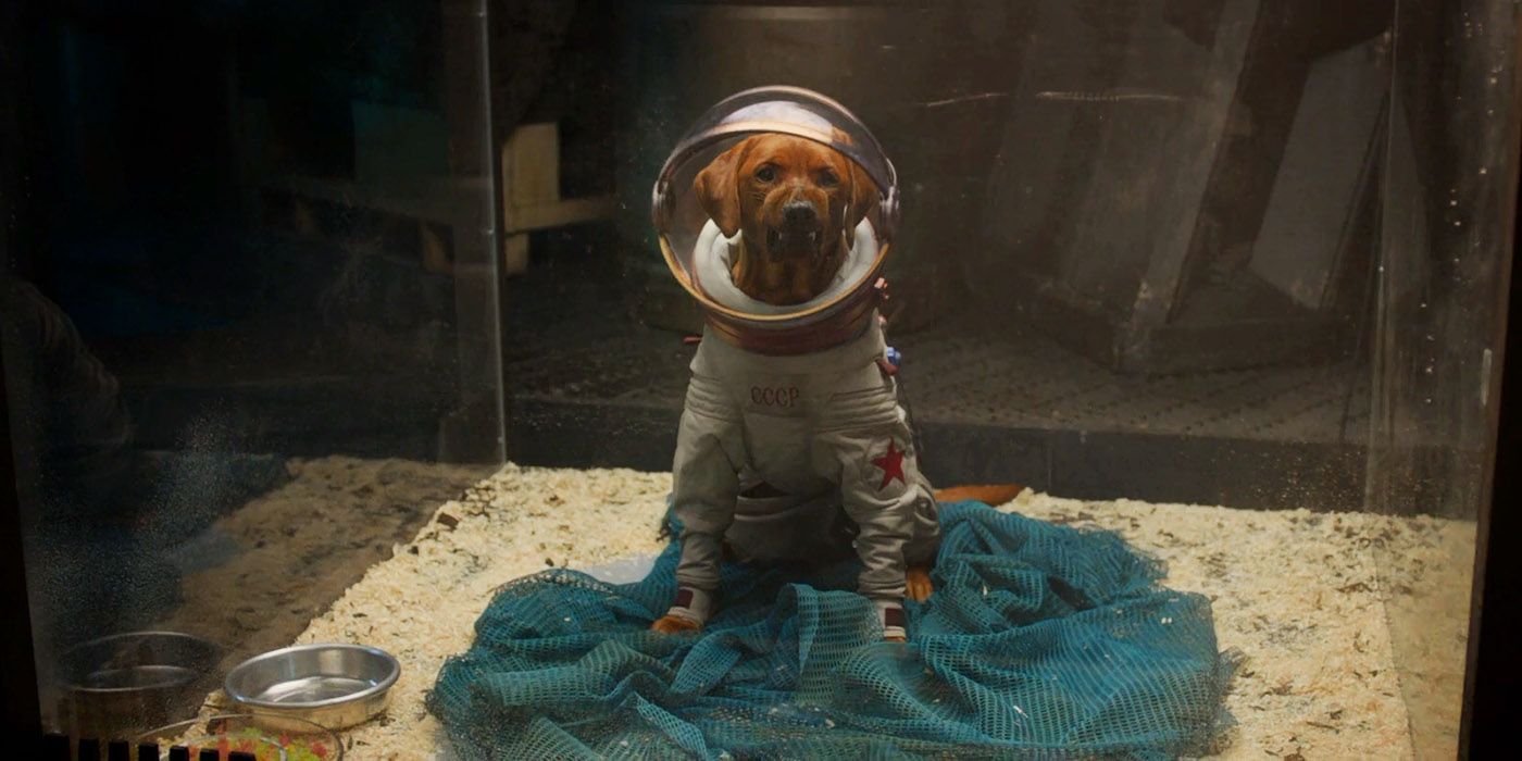 Cosmo, o cão espacial de Guardiões da Galáxia
