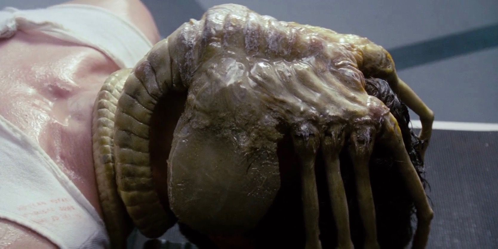 Facehugger in Alien