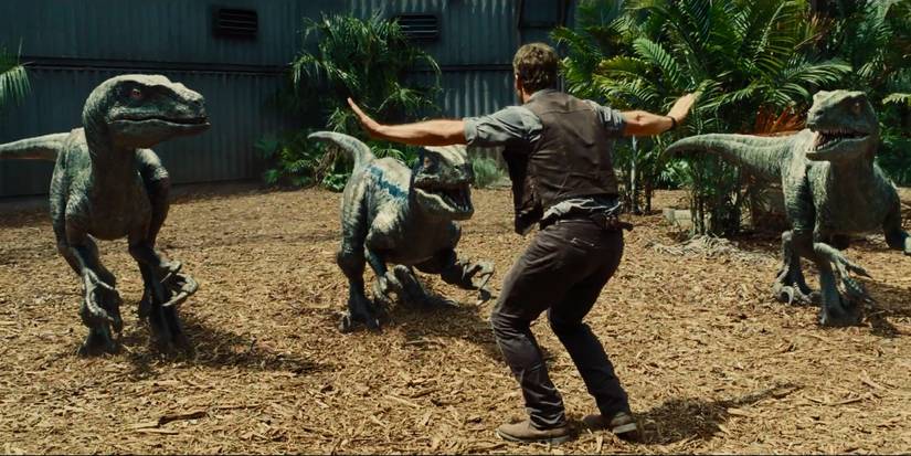 Chris Pratt trains Raptors in Jurᴀssic World.