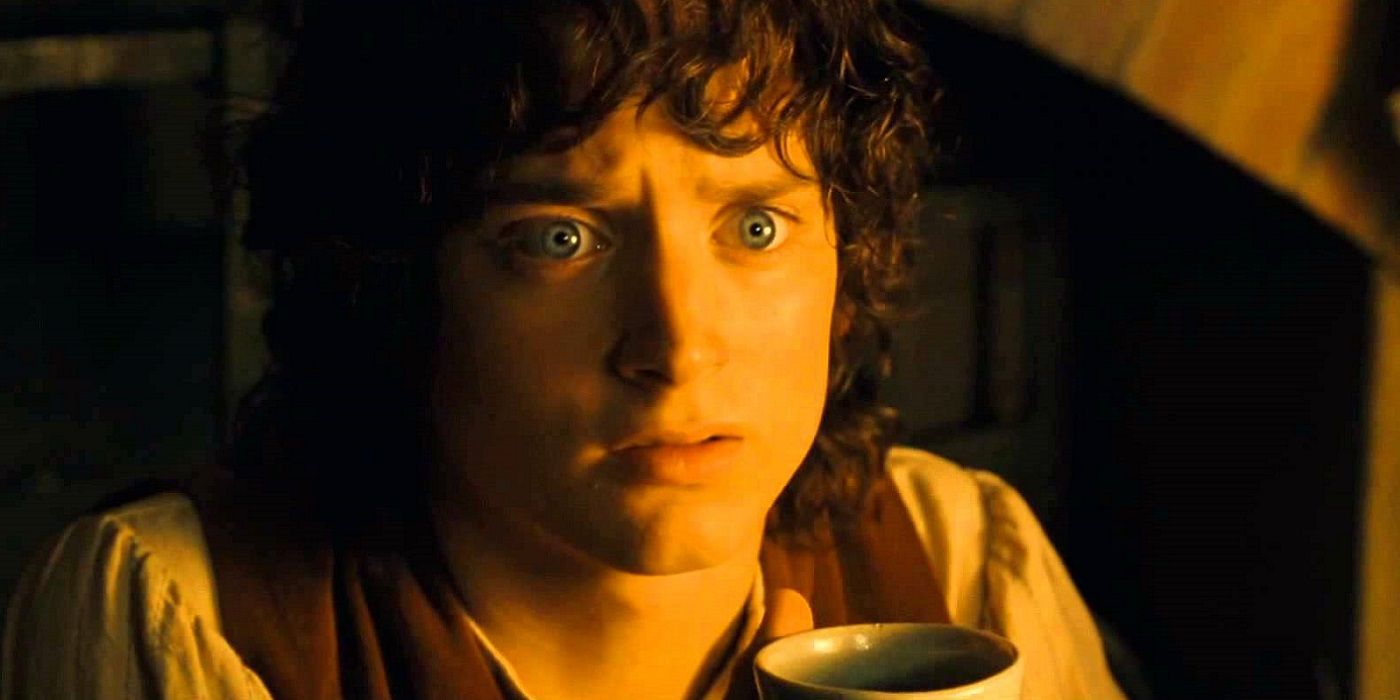 Elijah Wood as Frodo Baggins in Lord of the Rings