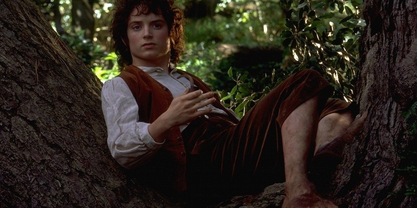 Lord of the Rings Elijah Wood as Frodo Baggins in Fellowship of the Ring The Shire