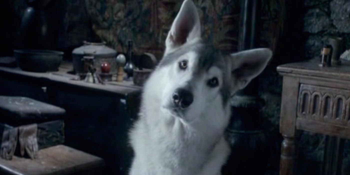 Nymeria the direwolf on Game of Thrones