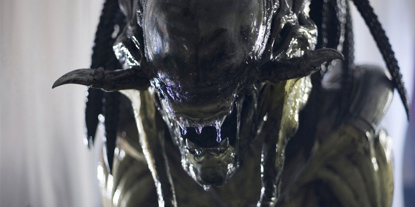 Predalien Vs Predator Fight Scene - Aliens Vs Predator Game 