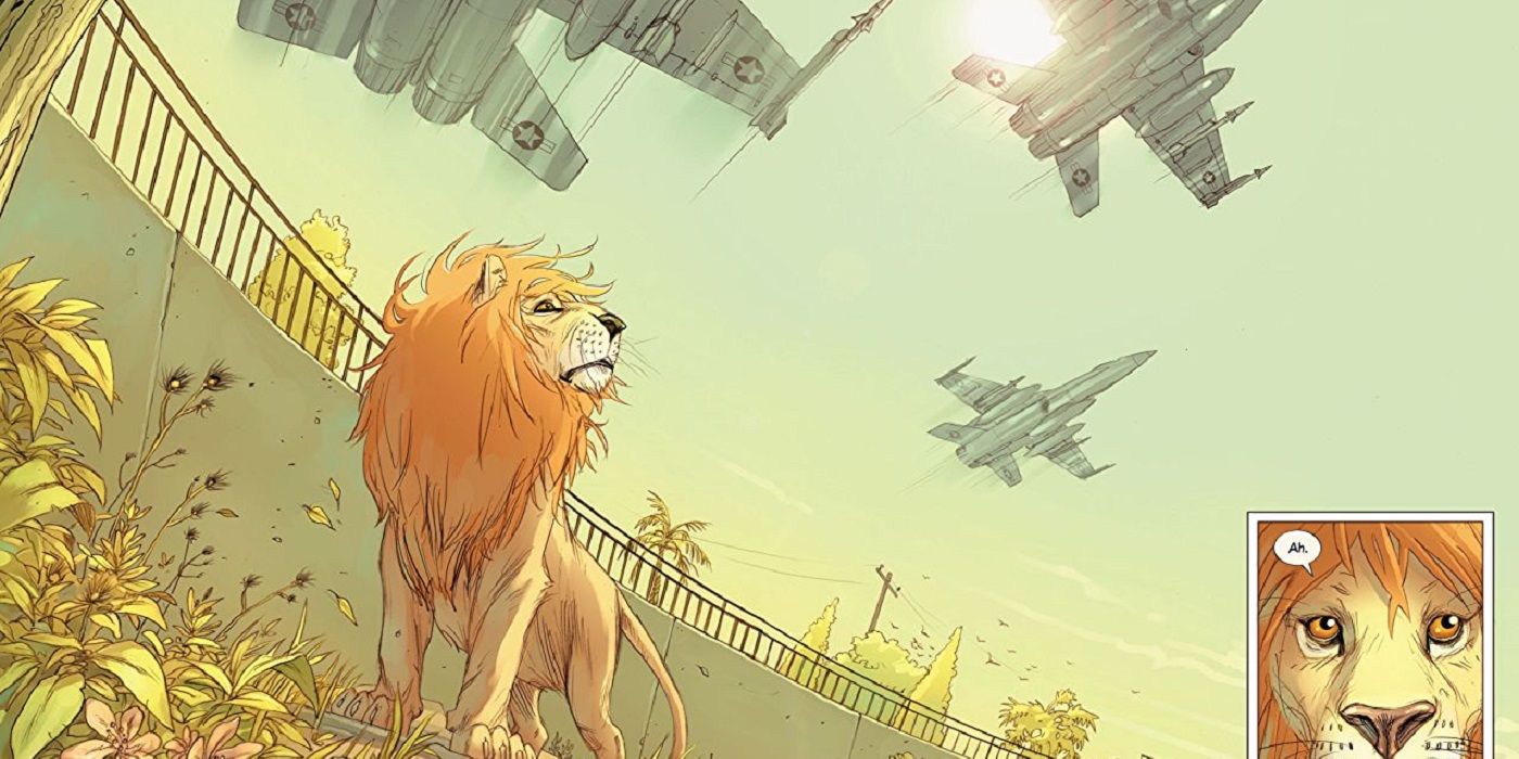 A lion standing as planes fly over in Pride of Baghdad