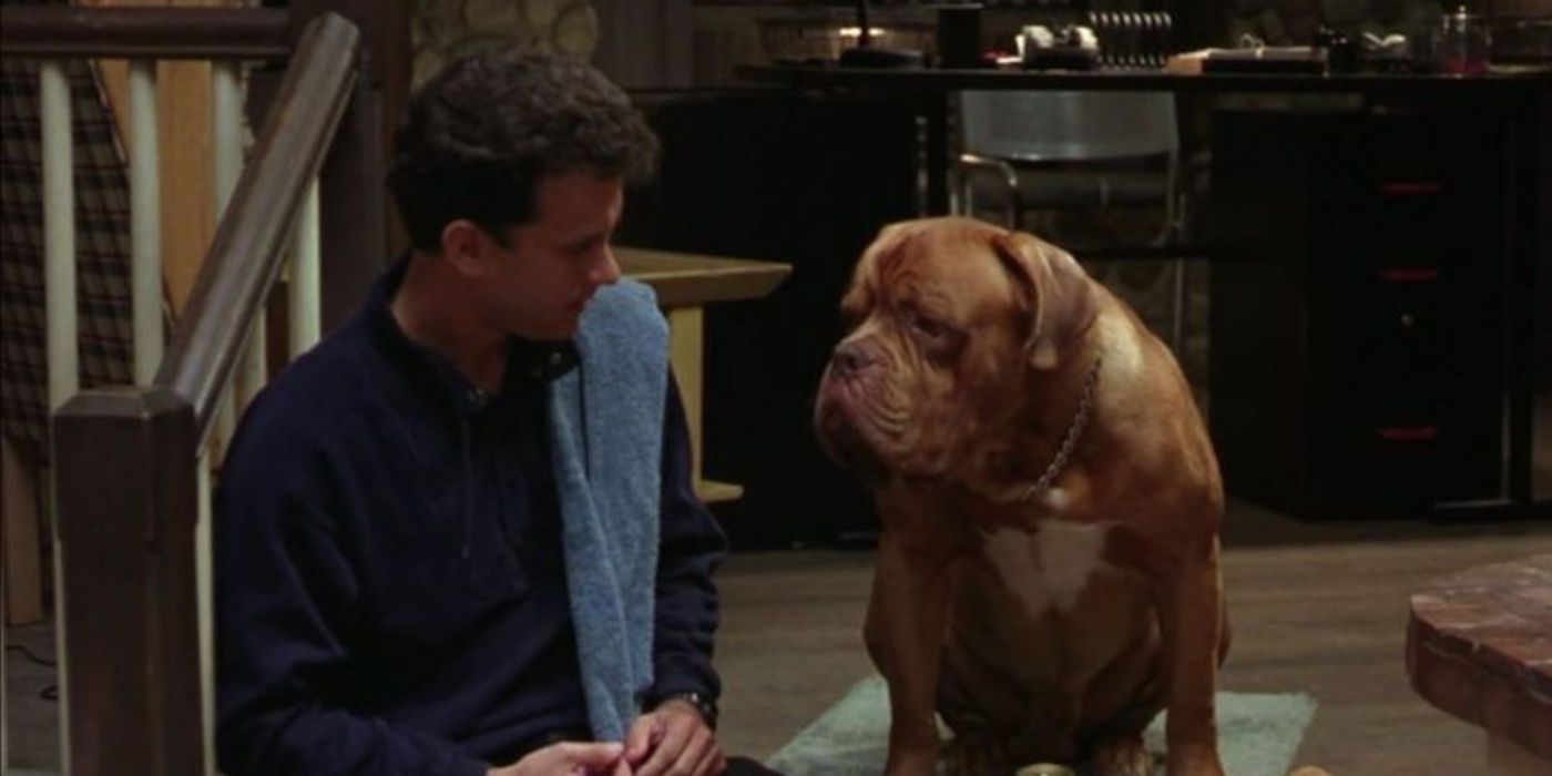 10 Best Movies For Dog Lovers, Ranked