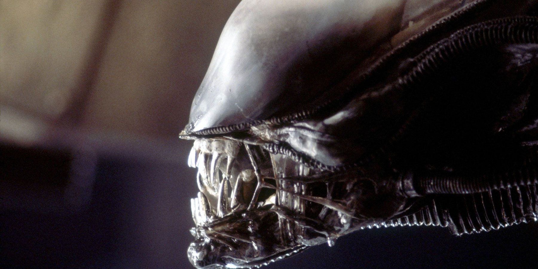 Predator 2 Easter Egg Teased Alien Crossover 17 Years in Advance