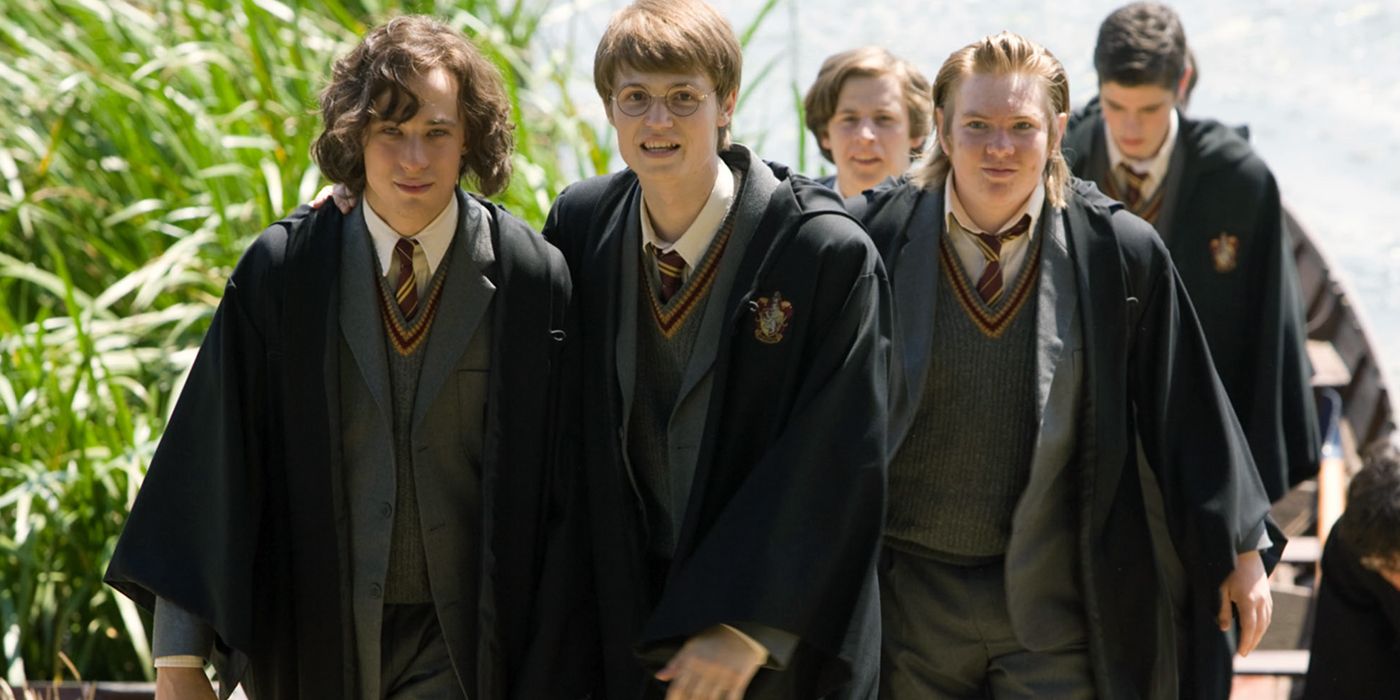 Harry Potter and the Order of the Phoenix 10 Things The Movie Changed From The Book
