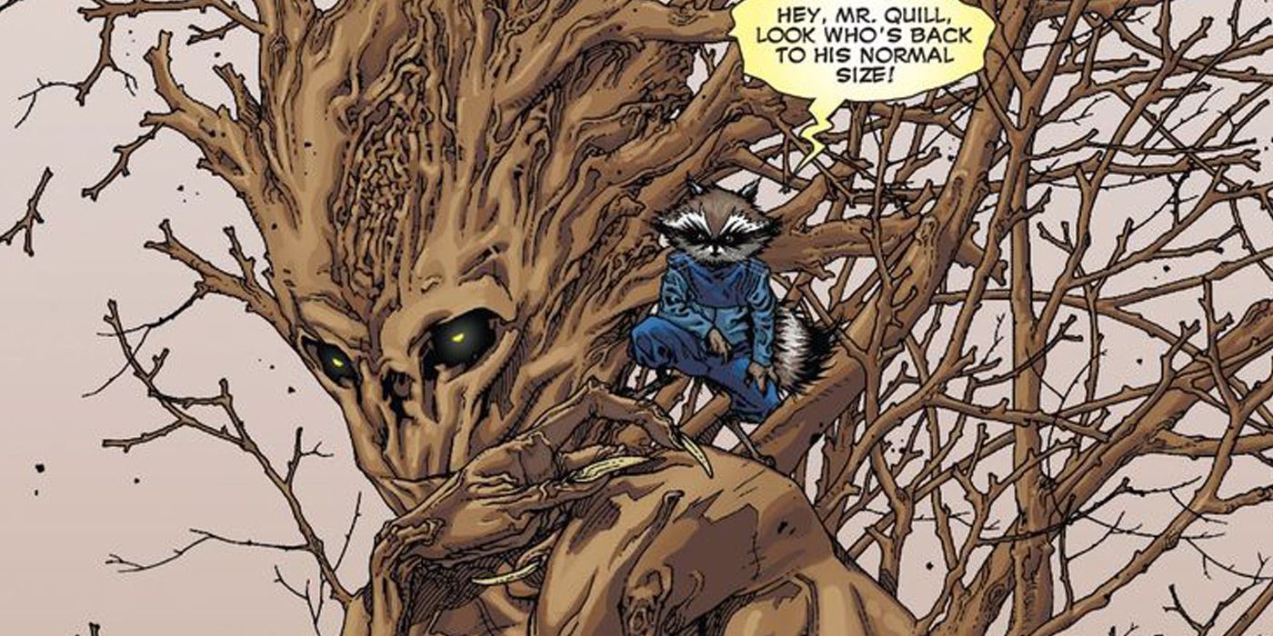 Groot and Rocket in Guardians of the Galaxy.