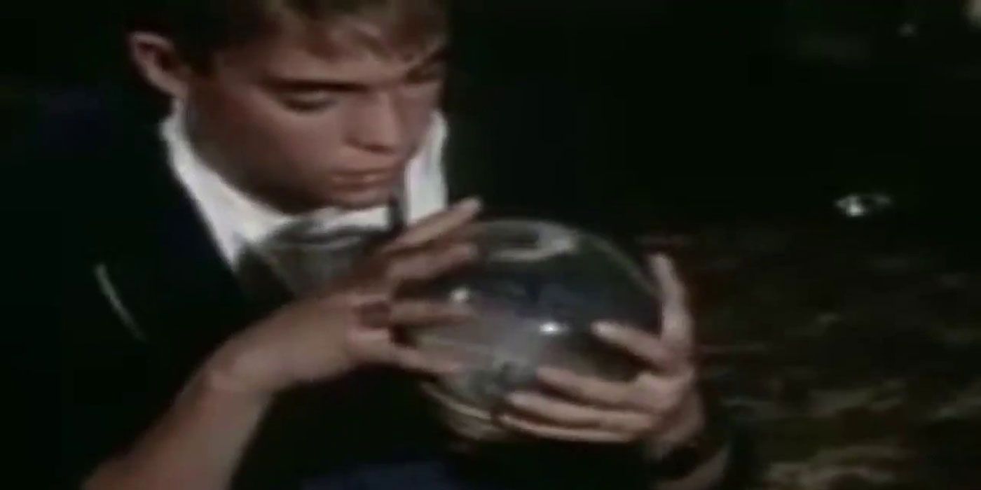Tommy Westphall in St. Elsewhere