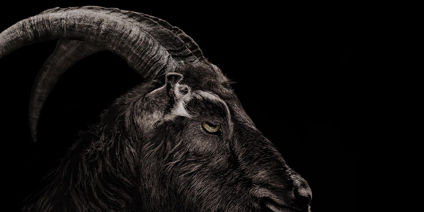 Black Phillip Was A Real-Life Nightmare For The Witch Director