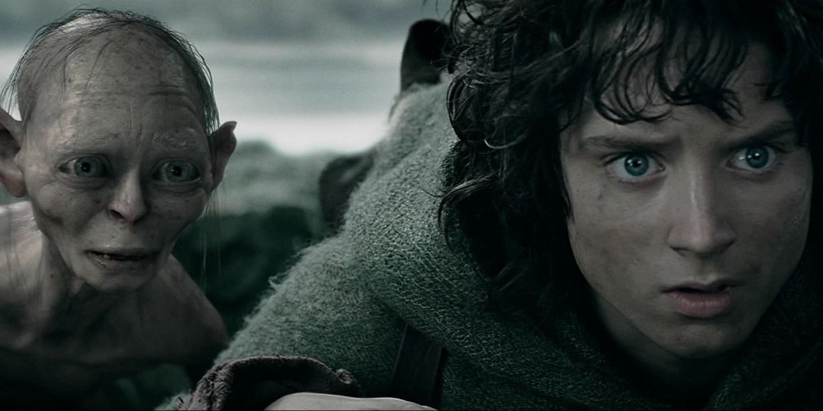 Frodo and Gollum in Lord of the Rings The Two Towers