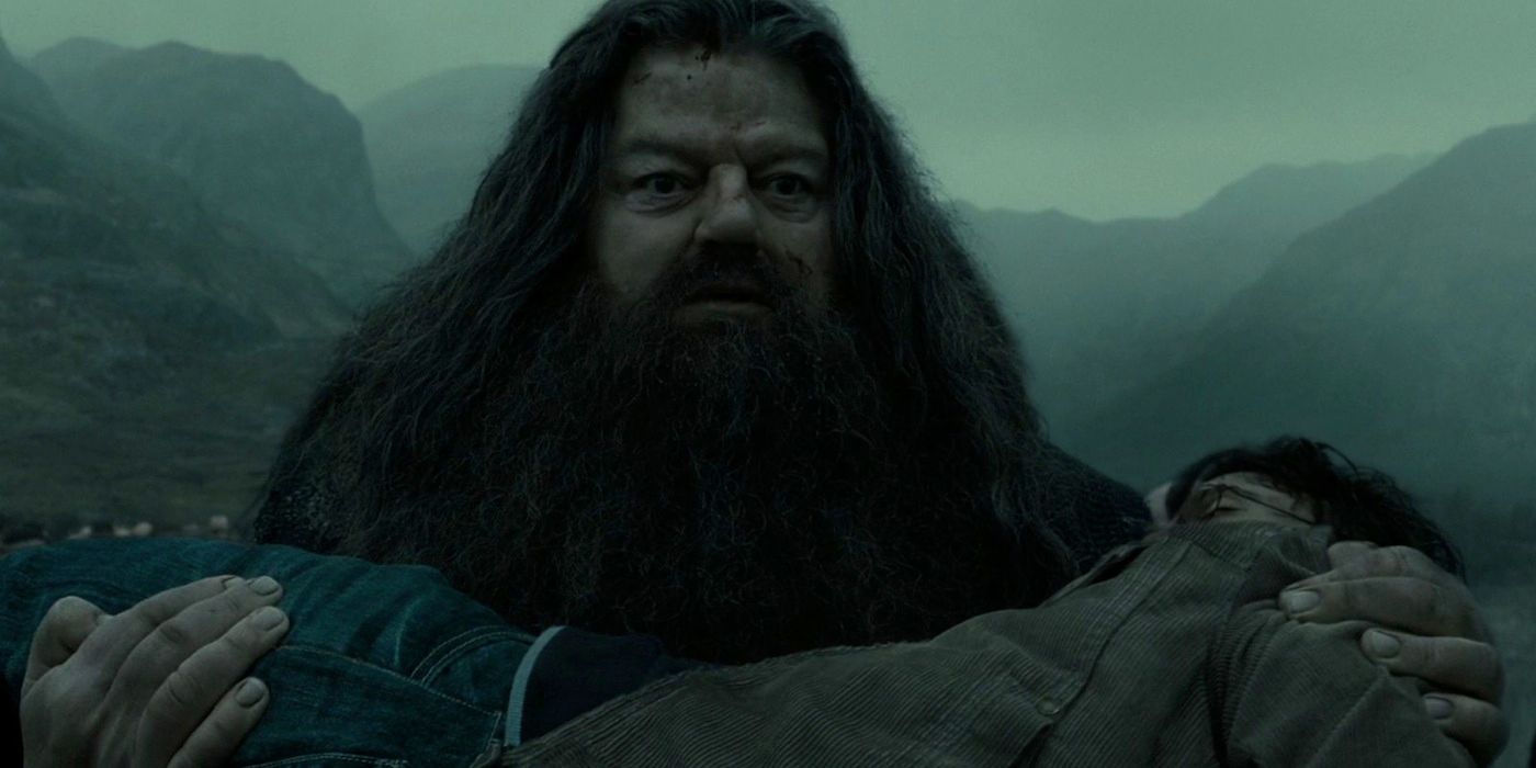 Harry Potter Hagrids 5 Best Traits (& 5 Worst)