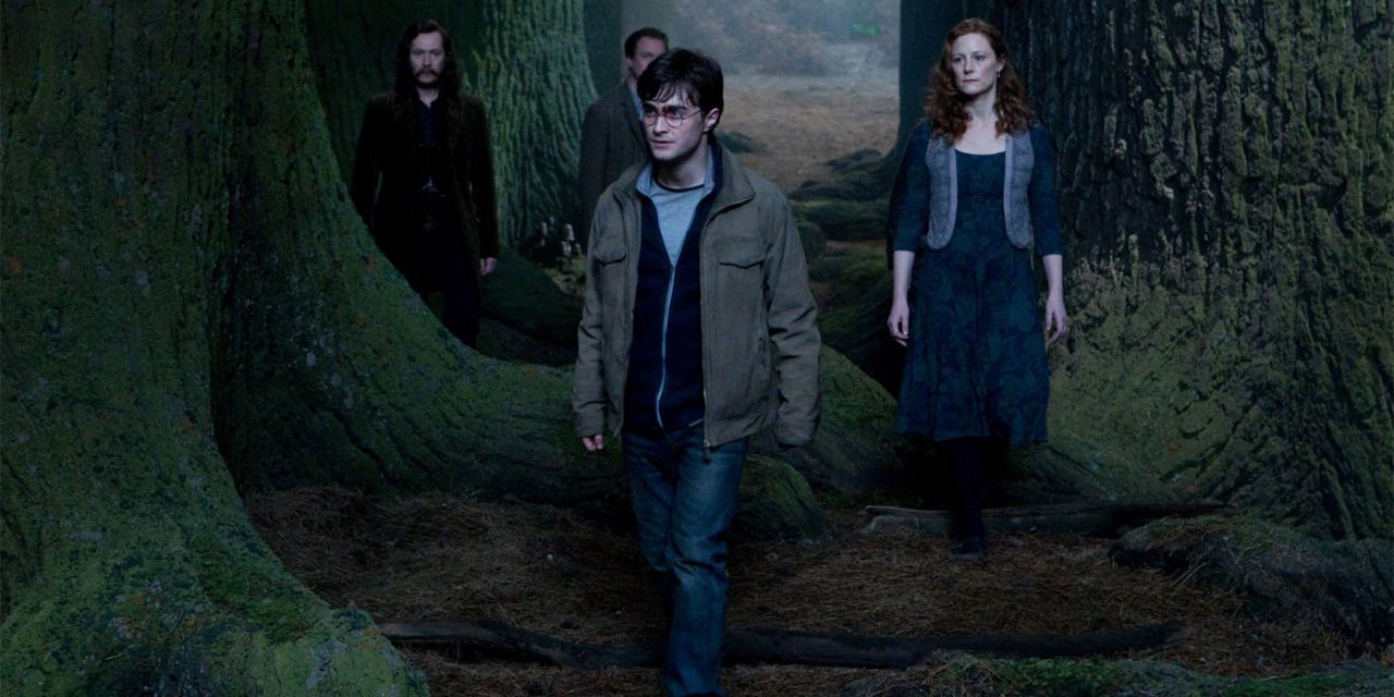 Harry Potter is accompanied by his family in the Forbidden Forest in Deathly Hallows - Part 2