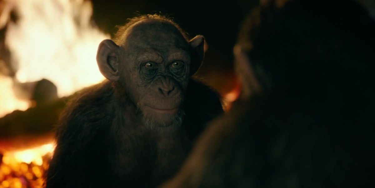 Steve Zahn Bad Ape War for Planet of Apes