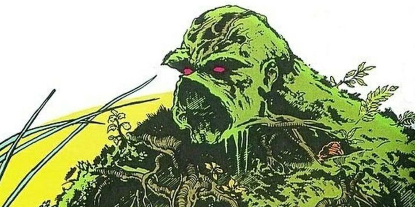 Swamp Thing appears in DC Comics.