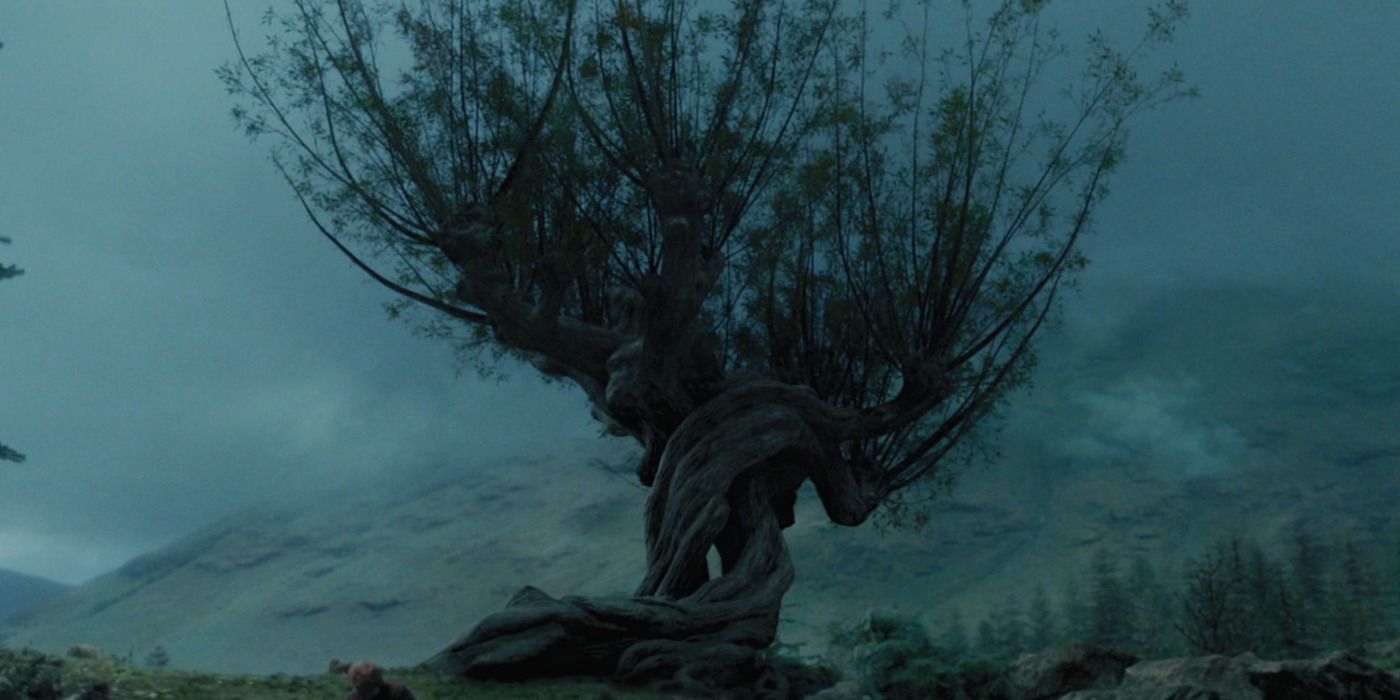Whomping Willow In Harry Potter