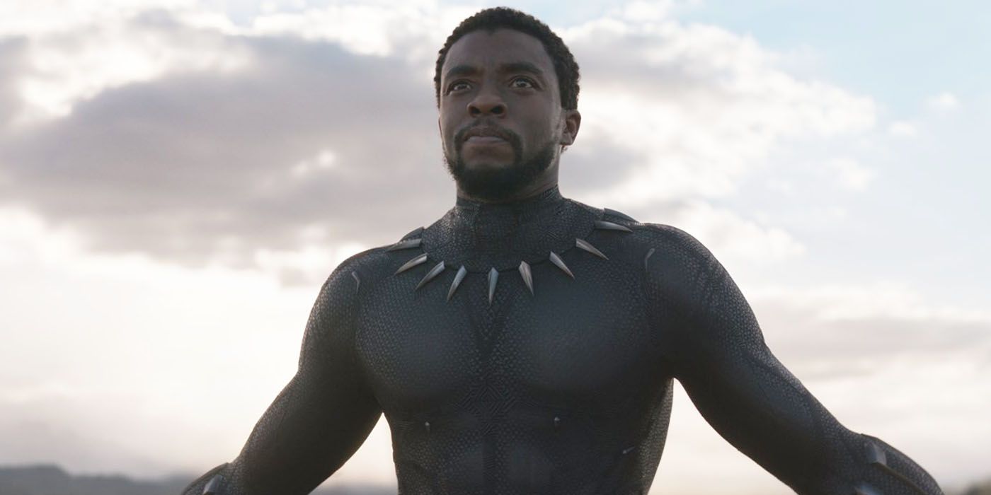 Black Panther stands with his arms outstretched 