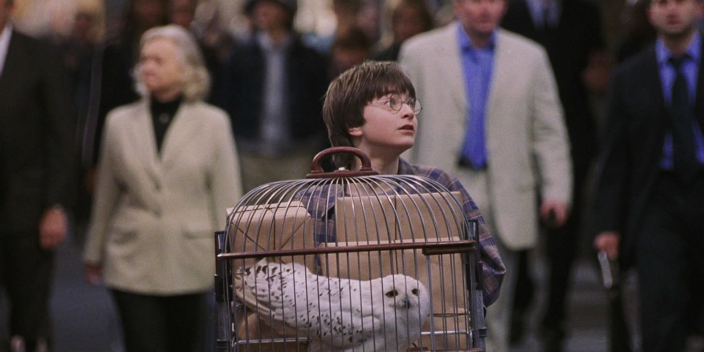 Harry Potter pushing his trolley down King's Cross in Harry Potter and the Philospher's Stone.