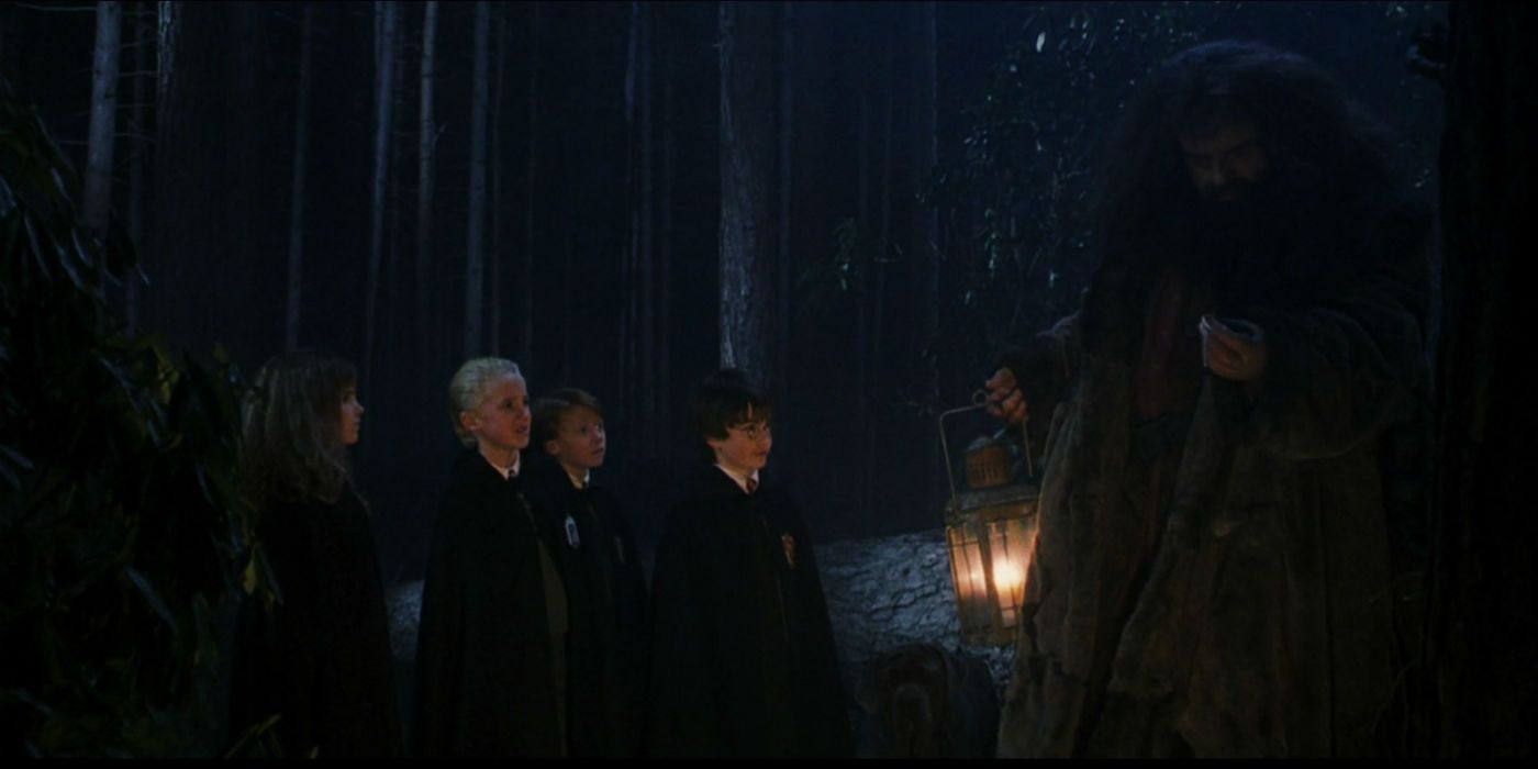 Hermione Draco Ron Harry and Hagrid in the Forbidden Forest