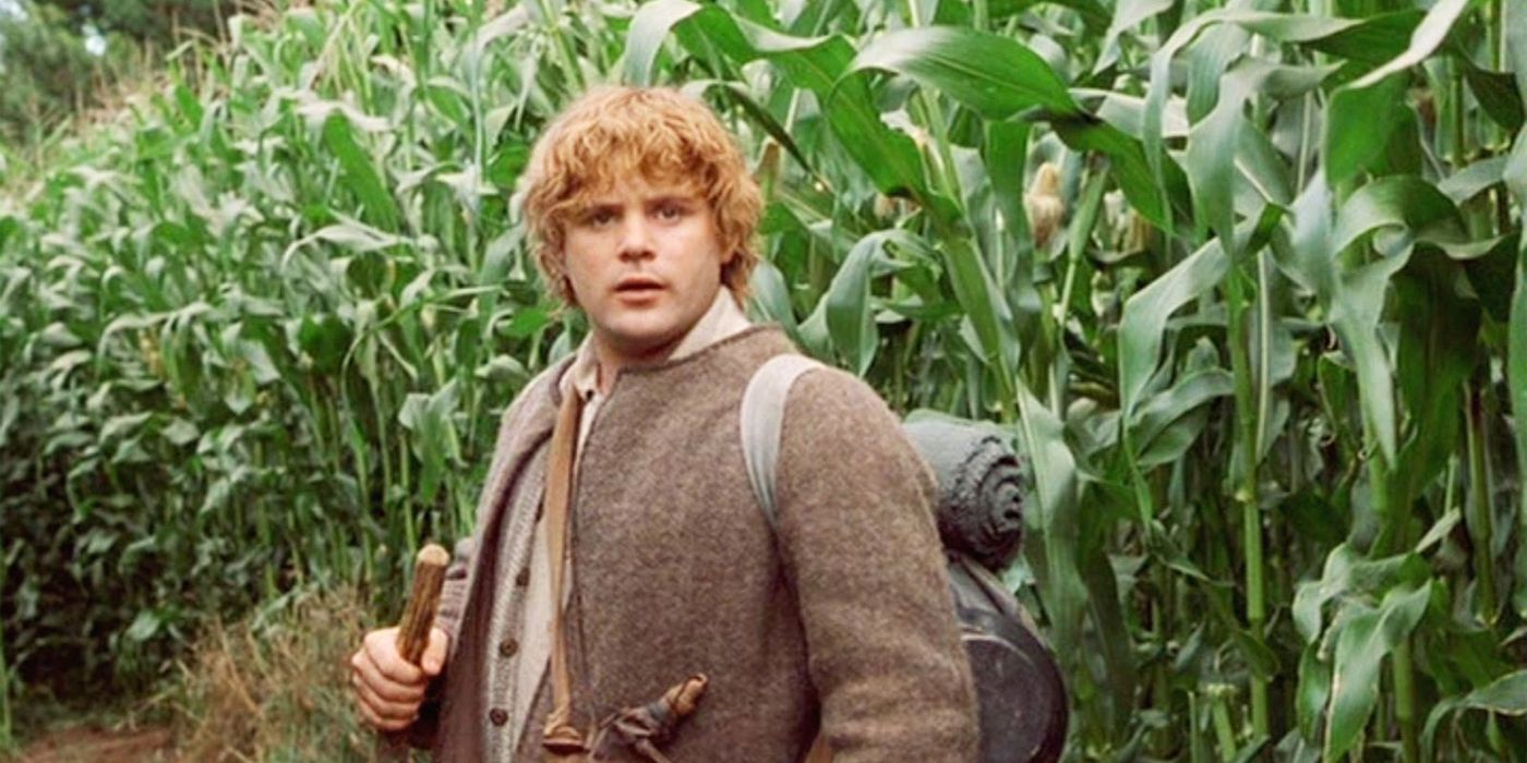 Sean Astin as Samwise Gamgee standing in front of a corn field in Lord of the Rings: The Fellowship of the Ring.