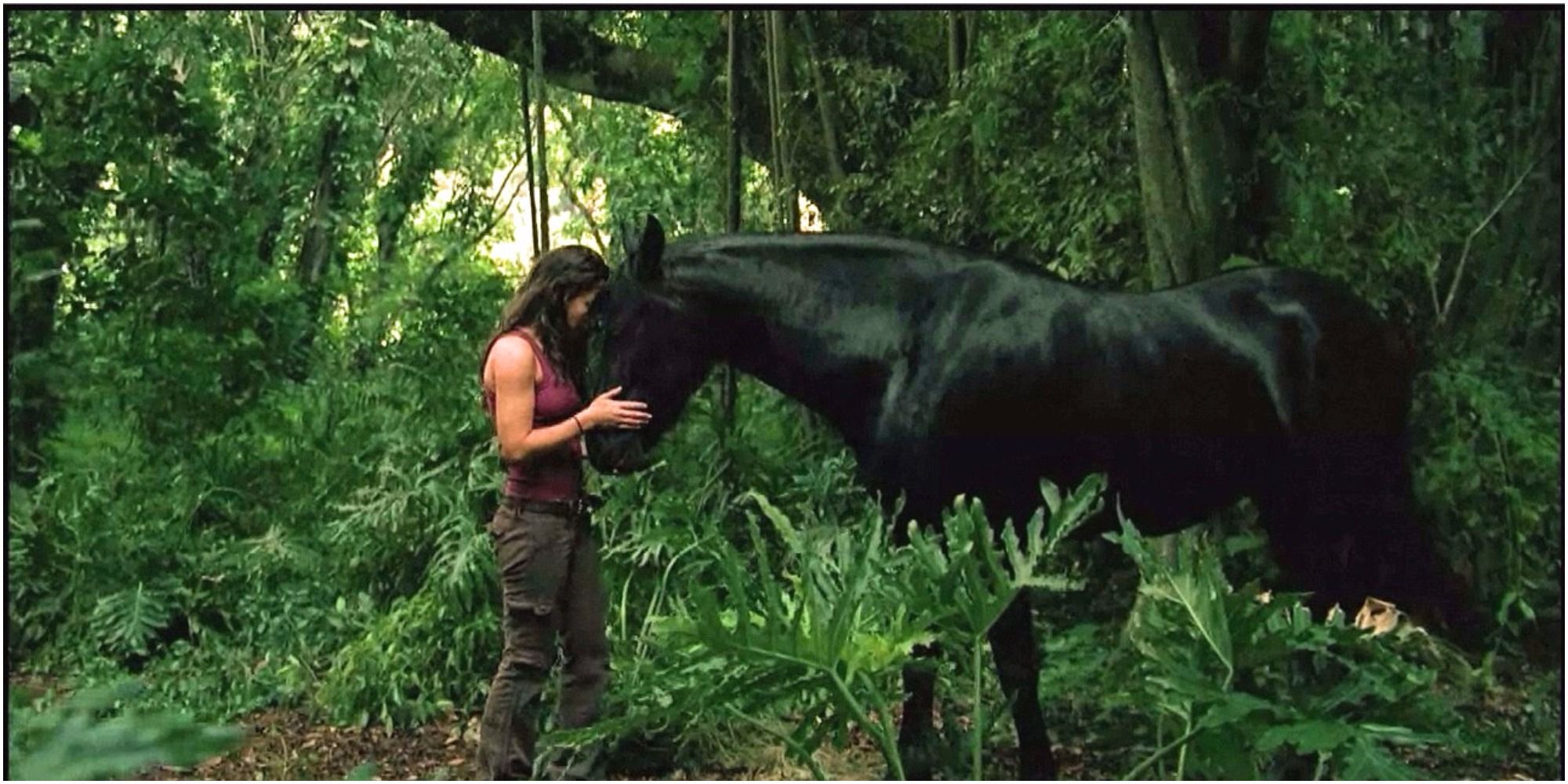 On Lost, what was the deal with Kate's Horse.