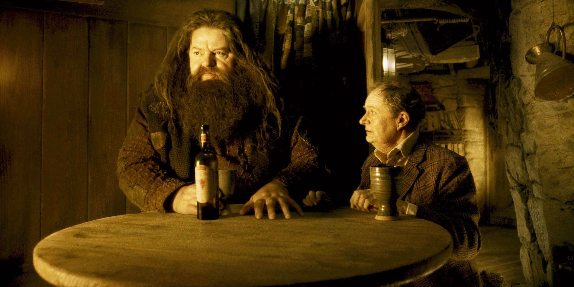 Robbie Coltrane as Rubeus Hagrid and Jim Broadbent as Professor Slughorn in Harry Potter