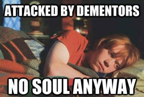 15 Hilarious Harry Potter Memes Only True Fans Will Understand