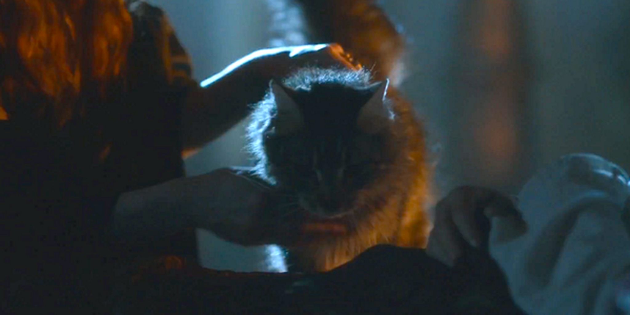 Ser Pounce Game of Thrones