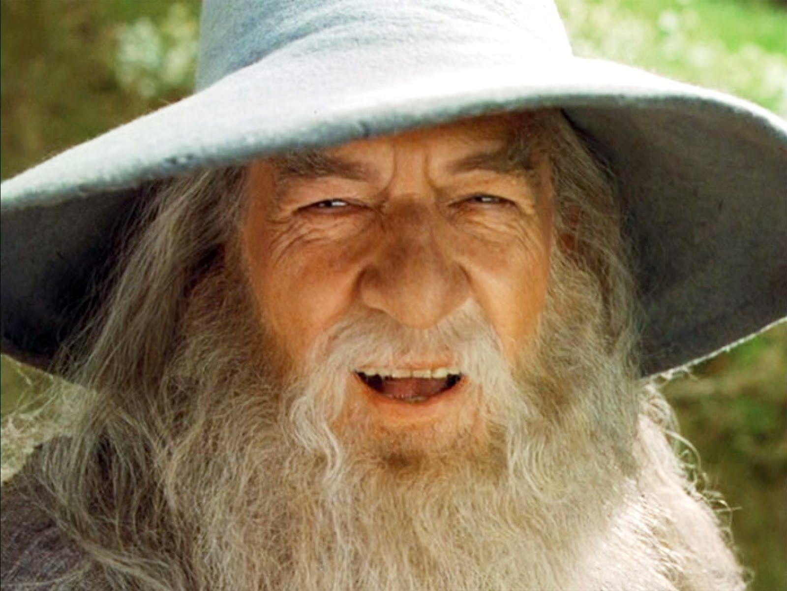 Sir Ian McKellen as Gandalf The Grey The Shire Lord of the Rings Peter Jackson