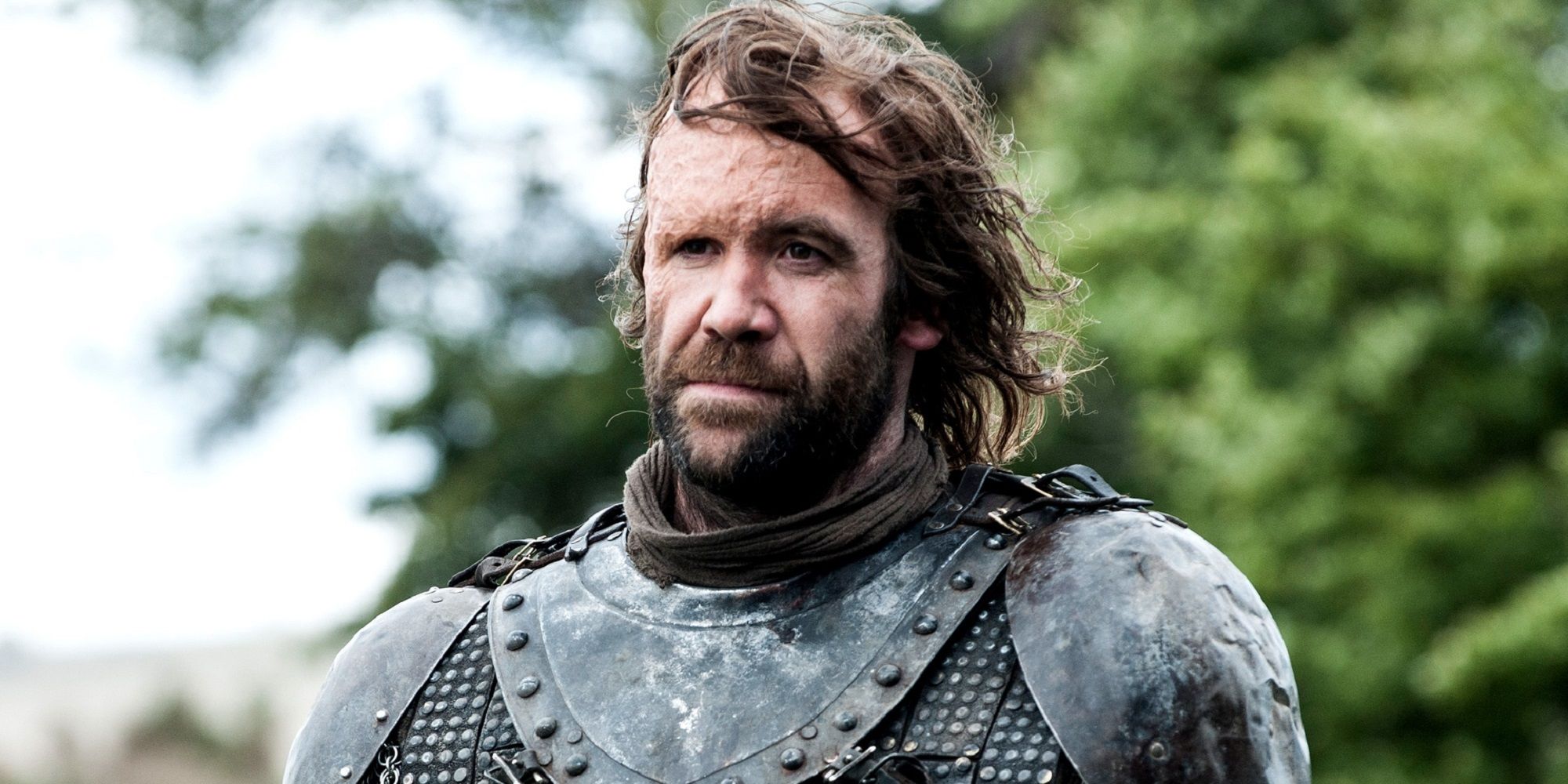 The Hound in armor