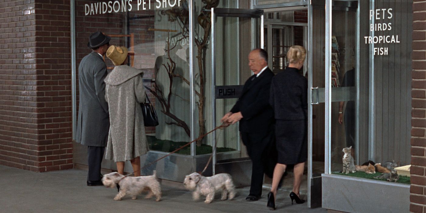 Hitchcock's cameo walking dogs in The Birds