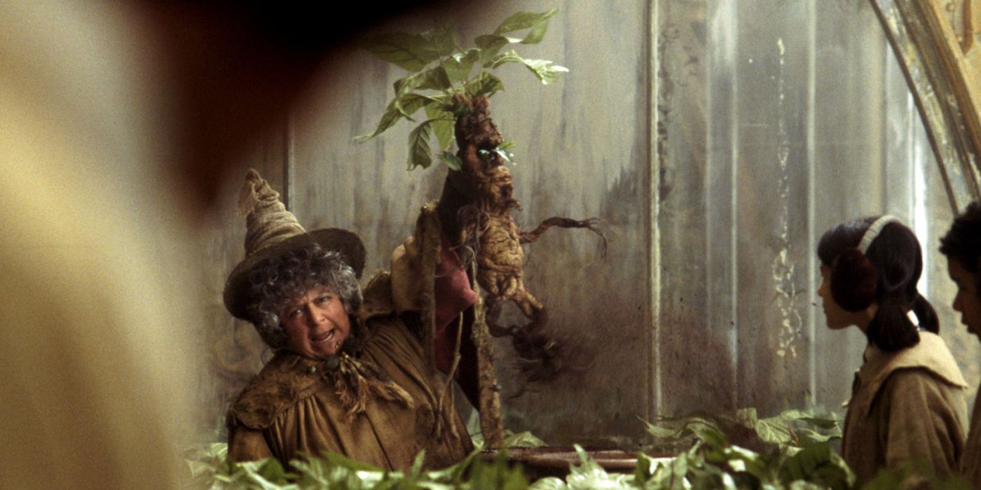 Madam Sprout and Mandrake in Harry Potter and the Chamber of Secrets