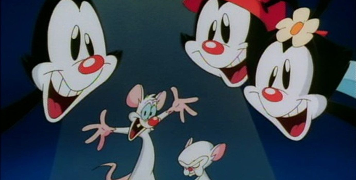 Pinky and the Brain and the Animaniacs smiling