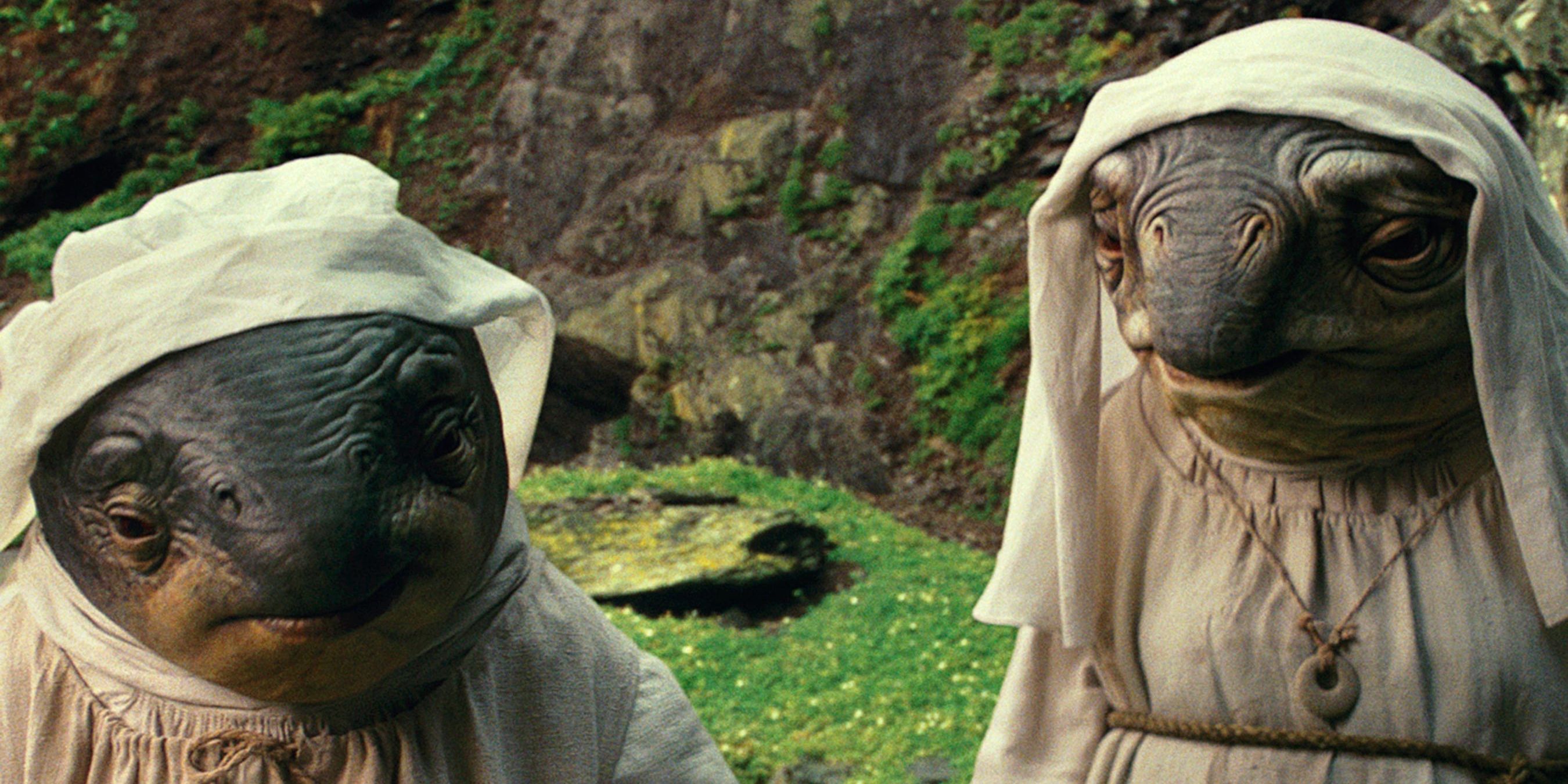 The Ahch-To Caretakers in Star Wars The Last Jedi 