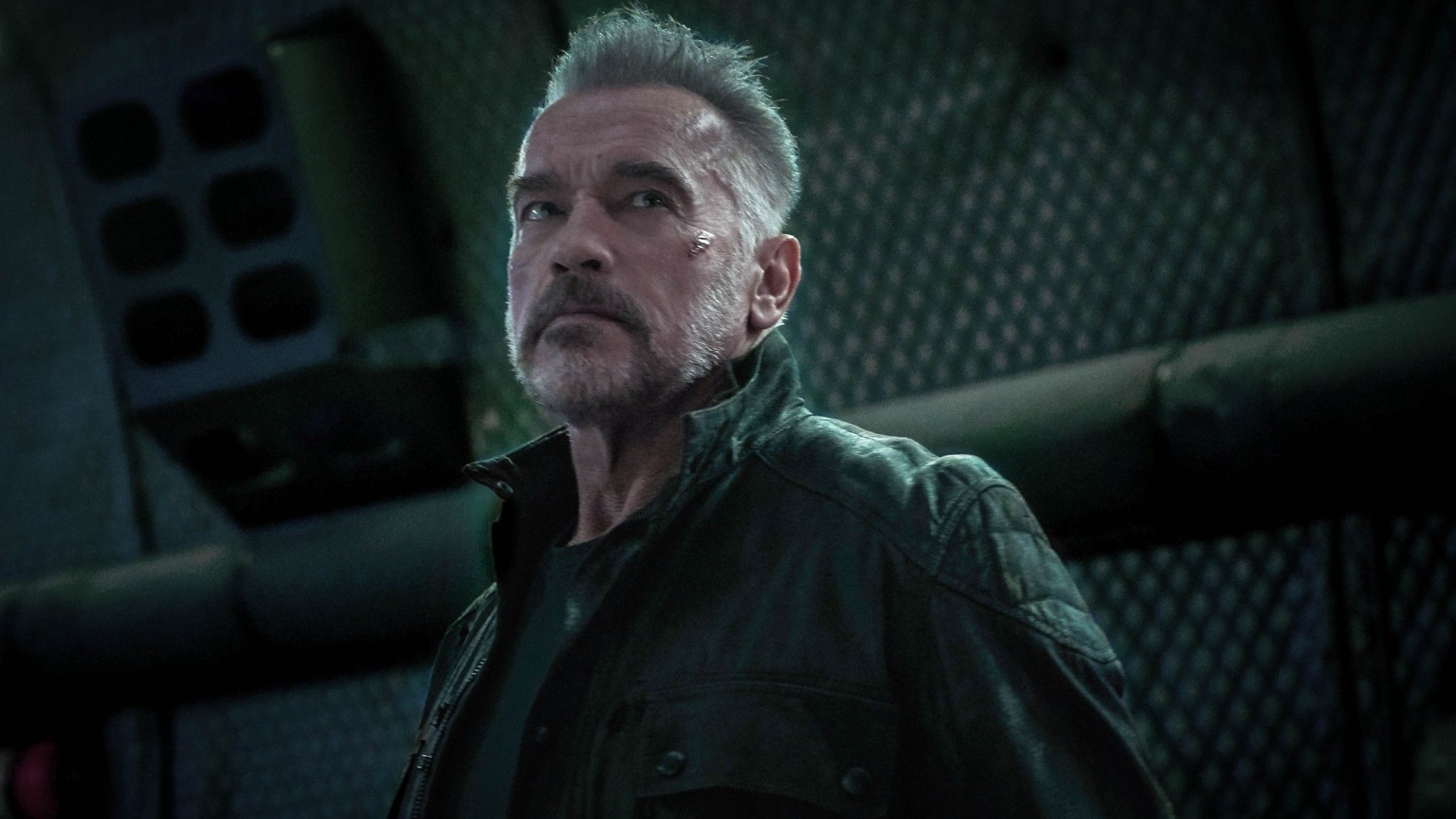 Arnold Schwarzenegger & Linda Hamilton Return In Terminator Dark Fate Images