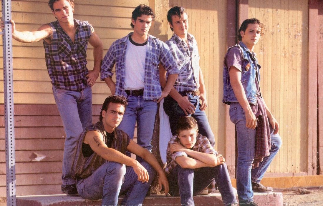 The cast of TV's The Outsiders 