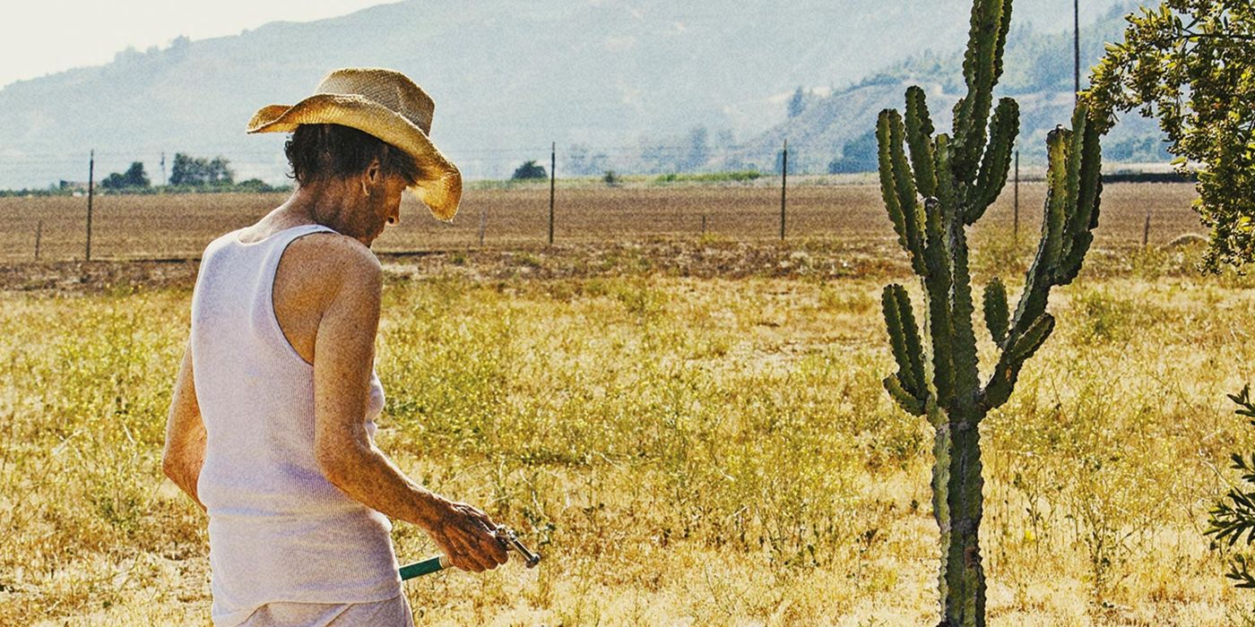 Harry Dean Stanton watering a cactus in Lucky