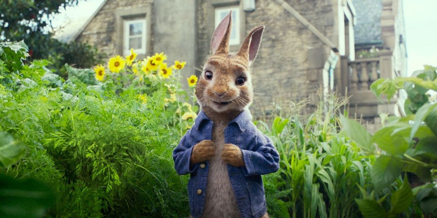 Peter Rabbit standing and smiling 