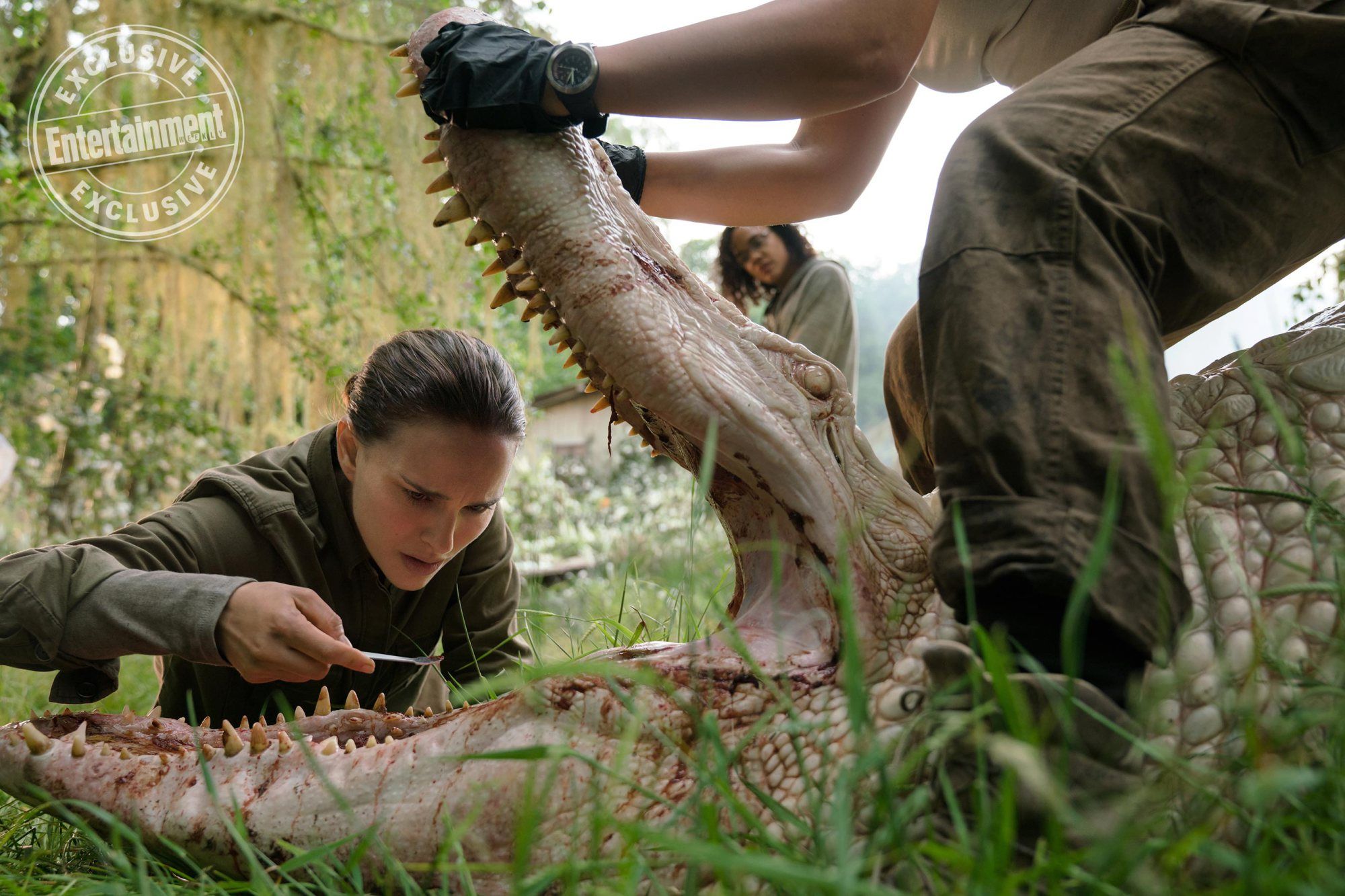 Natalie Portman Examines An Alligator in Annihilation First Look Image