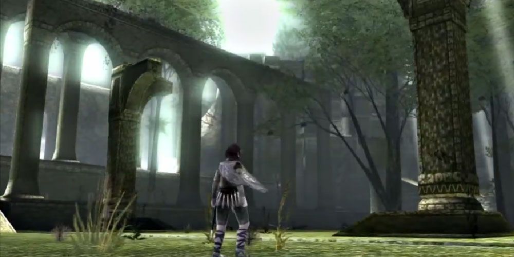 Shadow of the Colossus Secret Garden 2