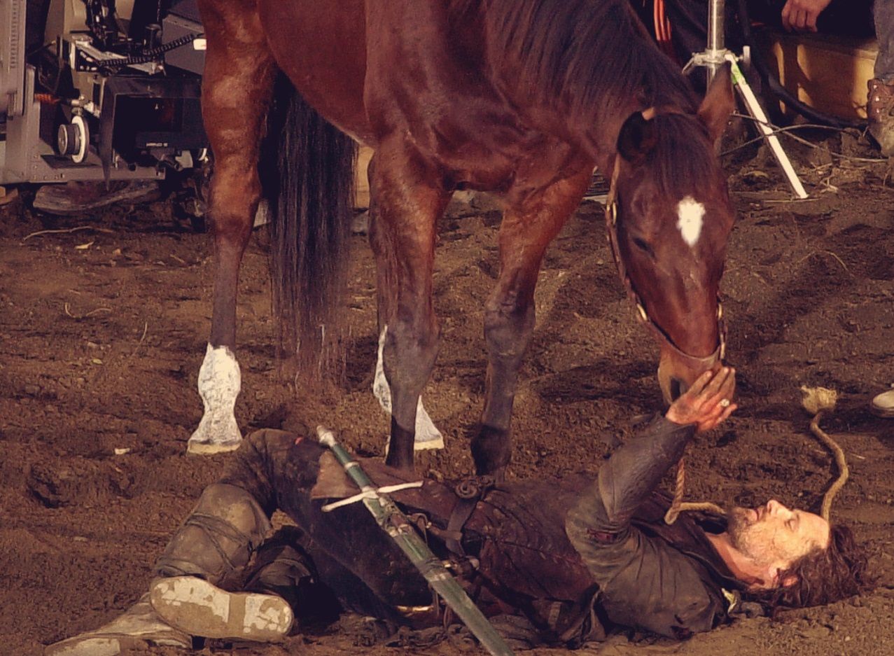 Viggo Mortensen with horse Brego in The Lord of the Rings